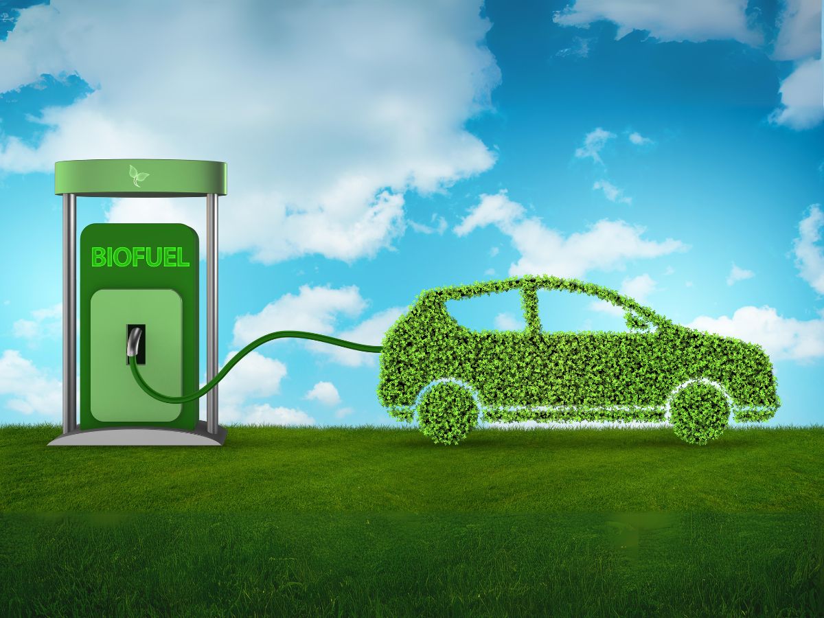 Financing Biopower Projects: An Expert Guide for Project Owners