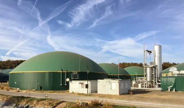 biomass energy plant